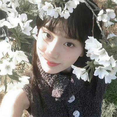 盗墓迷灵
